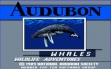 Логотип Emulators Whales