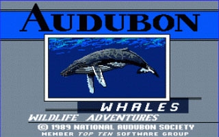 Whales image