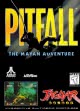 logo Roms PITFALL : THE MAYAN ADVENTURE