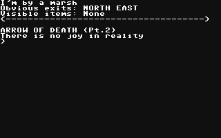 Adventure 4 - Arrow of Death II image
