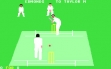 Логотип Emulators Graham Gooch's All Star Cricket