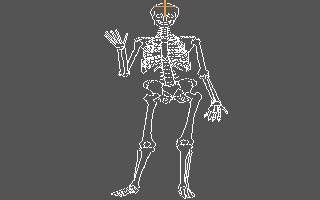 Human Anatomy Series - Skeleton Bones Tutorial image