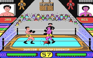 Pro Boxing Simulator image