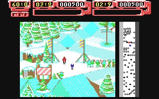 Professional Ski Simulator image