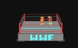 logo Roms WWF Wrestling