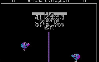Arcade Volleyball (1987) image
