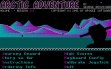 Логотип Emulators Arctic Adventure (1991)