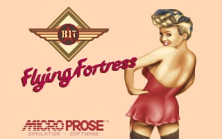 B-17 Flying Fortress (1992) image