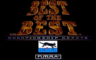 Best of the Best Championship Karate (1992) image
