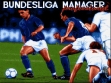 logo Emulators Bundesliga Manager Professional (1991)
