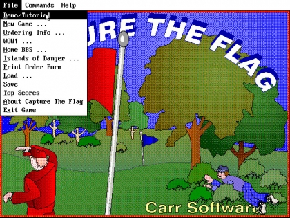 CAPTURE THE FLAG image