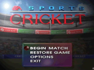 Cricket 96 (1996) image