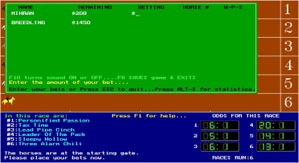 Race the Nags (1993) image