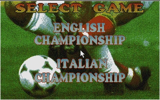 Soccer Team Manager (1994) image