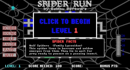 Spider Run (1995) image