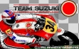 logo Roms Team Suzuki (1991)