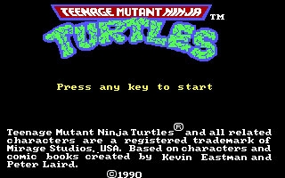 Teenage Mutant Ninja Turtles (1989) image