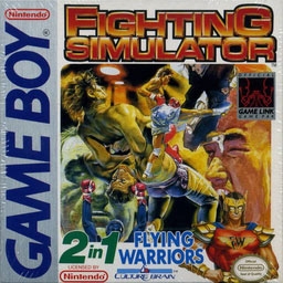 Fighting Simulator 2 in 1 (USA, Europe) image