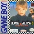 Логотип Roms Home Alone 2 - Lost In New York (USA, Europe)