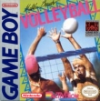 Логотип Roms Malibu Beach Volleyball (USA)