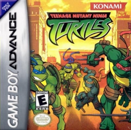 Teenage Mutant Ninja Turtles [USA] image
