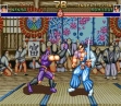 Логотип Roms SHOGUN WARRIORS