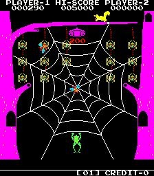 FROG & SPIDERS image