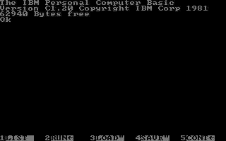 IBM PC 5150 (CLONE) image