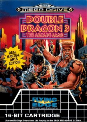 sega double dragon 3 arcade