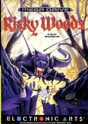Risky Woods [Europe] image