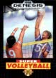 Логотип Emulators Super Volley Ball [USA]