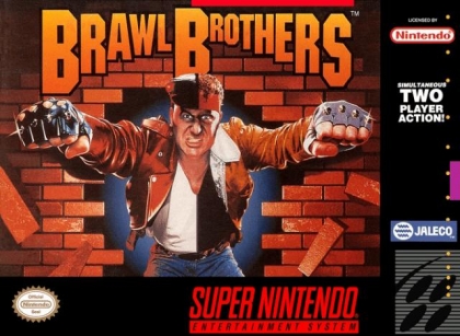 Brawl Brothers [USA] image