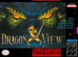 Логотип Roms Dragon View [USA]