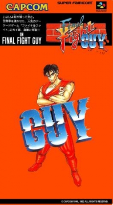 Final Fight Guy [Japan] image