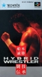 Логотип Emulators Funaki Masakatsu Hybrid Wrestler : Tougi Denshou [Japan]