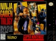 logo Emuladores Ninja Gaiden Trilogy [USA]