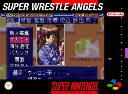 Super Wrestle Angels [Japan] image