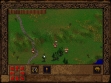 Логотип Roms VIKINGS: THE STRATEGY OF ULTIMATE CONQUEST