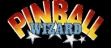 logo Roms PINBALL WIZARD (CLONE)