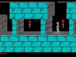 logo Roms PRINCE OF PERSIA