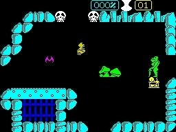 TOAD RUNNER (CLONE) image