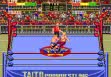 Логотип Roms Champion Wrestler (Japan)