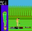 Logo Roms Competition Golf Final Round (revision 3)