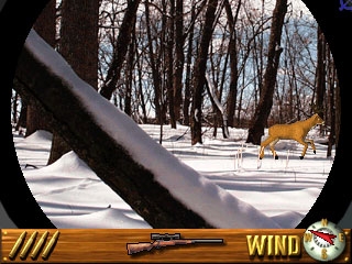 Deer Hunting USA V4.0 image