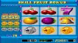 logo Roms Skill Fruit Bonus (Version 1.9R, set 1)