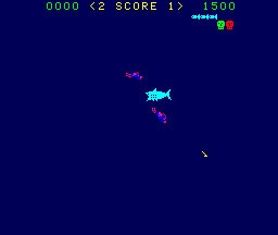 Shark Attack image
