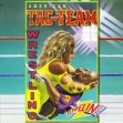 logo Roms AMERICAN TAG TEAM WRESTLING