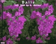 Логотип Roms BALLS
