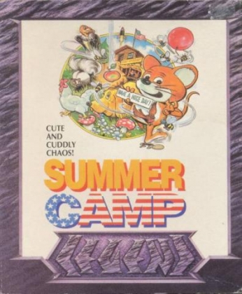 SUMMER CAMP image