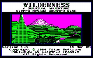Wilderness: A Survival Adventure  image